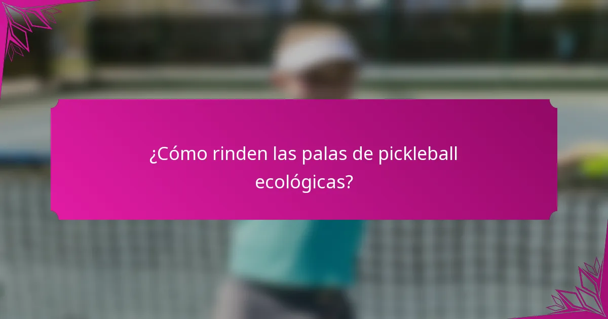 ¿Cómo rinden las palas de pickleball ecológicas?