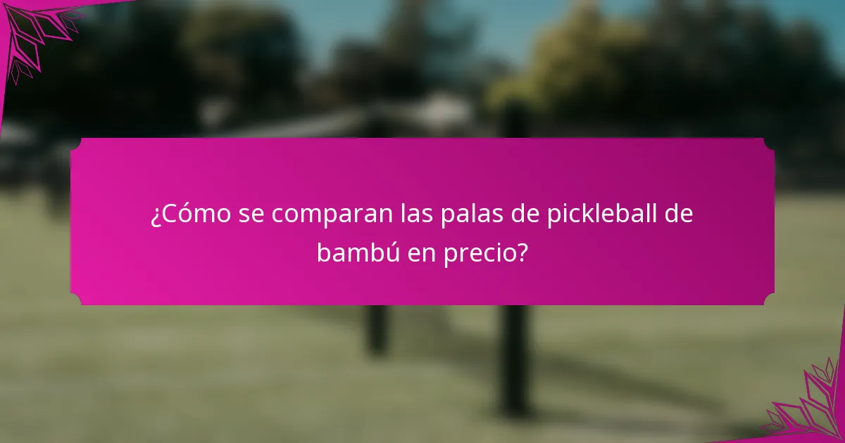 ¿Cómo se comparan las palas de pickleball de bambú en precio?