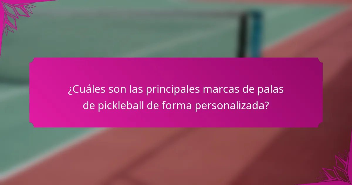 ¿Cuáles son las principales marcas de palas de pickleball de forma personalizada?