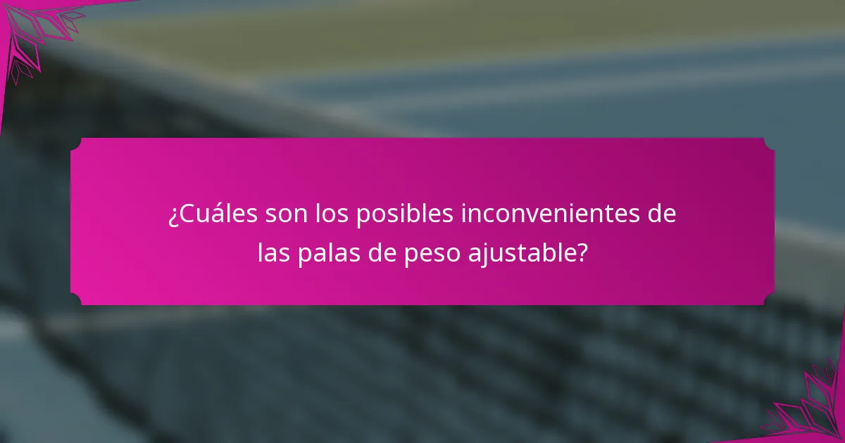 ¿Cuáles son los posibles inconvenientes de las palas de peso ajustable?