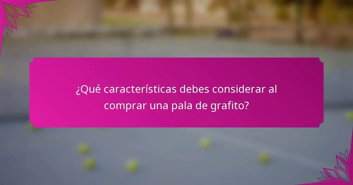 ¿Qué características debes considerar al comprar una pala de grafito?