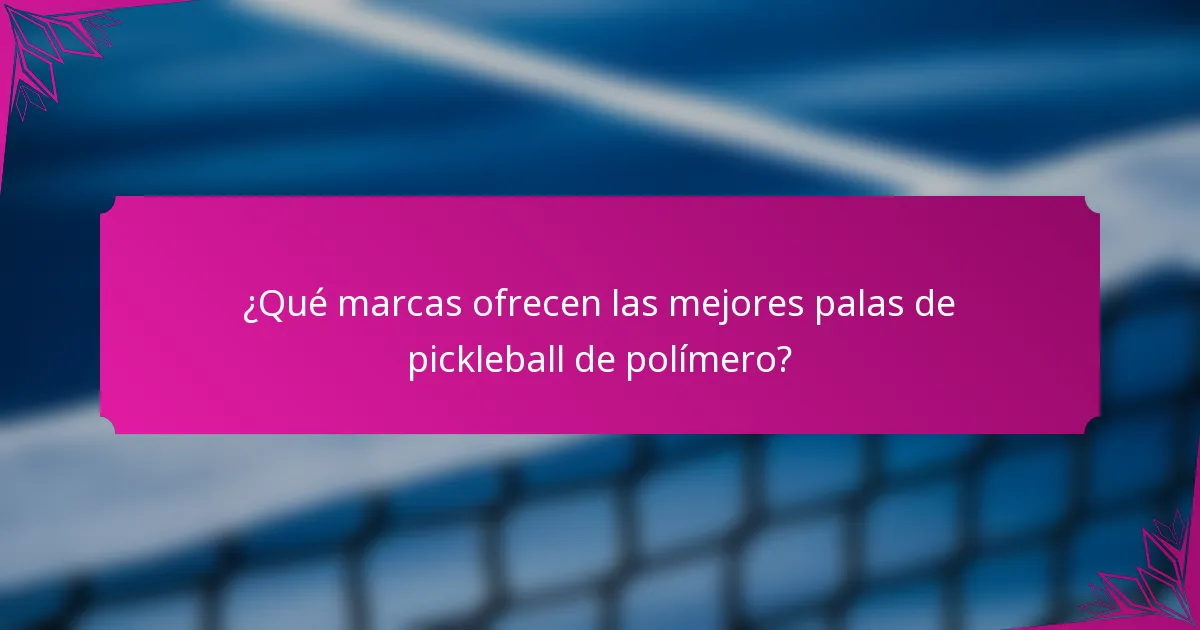¿Qué marcas ofrecen las mejores palas de pickleball de polímero?