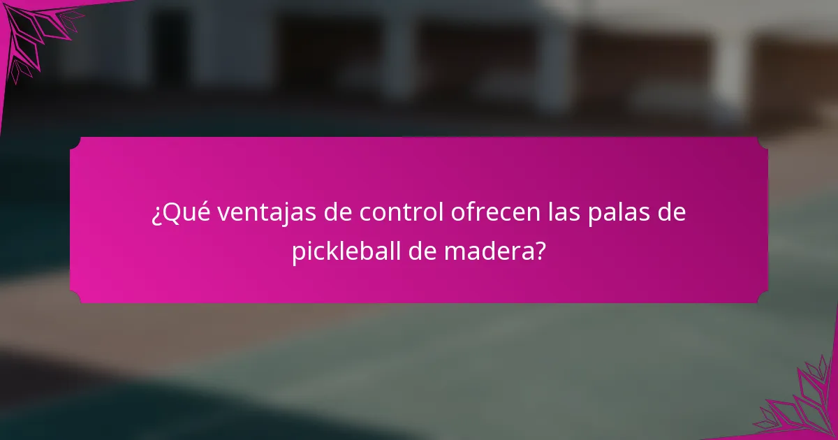 ¿Qué ventajas de control ofrecen las palas de pickleball de madera?